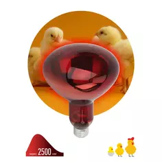 Инфракрасная лампа Эра для животных ИКЗК Е27 220-250 Вт R127 ERA