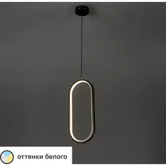 Светильник подвесной светодиодный «Руна» 2 м² регулируемый белый свет цвет черный Без бренда