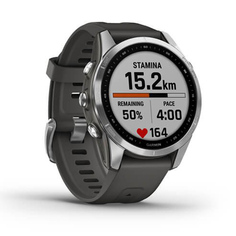 Умные часы Garmin Fenix 7S Silver-Graphite strap 010-02539-01