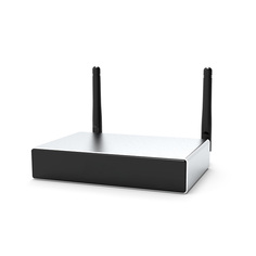 Сетевые аудио проигрыватели DSPPA DW-0235