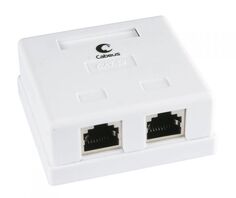 Розетка Cabeus WS-8P8C-Cat.5e-SH-2 компьютерная RJ-45(8P8C), категория 5e, экранированная, двойная, внешняя, Krone type