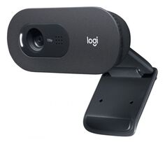 Веб-камера Logitech C505 960-001364 USB, HD 720p