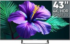 Телевизор TopDevice TDTV43CS05U_ML Frameless UHD ready/T2/S2/CI+/Dolby/AAC/Android 11 Smart (1.5/8Gb)/grey