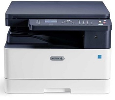 МФУ лазерное черно-белое Xerox B1022DN B1022V_B A3, 22 ppm, max 50K pages per month, 256 Mb memory, 600 MHz, крышка, PS3/PCL 6, Ethernet