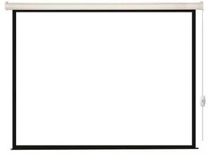 Экран Lumien LEC-100113 Eco Control 111x180 см, Matte White черная кайма по периметру 16:10