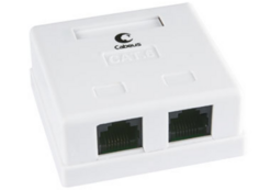 Розетка Cabeus WS-8P8C-Cat.6-2 компьютерная RJ-45(8P8C), категория 6, двойная, внешняя, Krone type