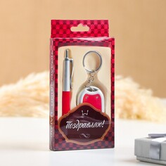 Набор подарочный 2в1 (ручка, фонарик красный) NO Brand