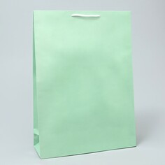 Пакет подарочный ламинированный, упаковка, green, l 28 х 38 х 9 см Доступные Радости