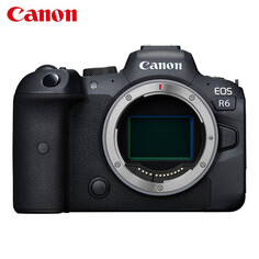 Фотоаппарат Canon EOS R6 Single 4K