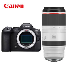 Фотоаппарат Canon EOS R6 Mark II RF 100-500mm + карта памяти 512 ГБ