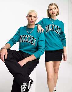 Бирюзовая толстовка с вышитым логотипом Dickies aitkin varsity