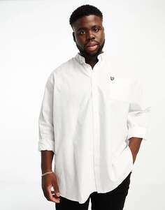 Белая оксфордская рубашка стандартного кроя с логотипом Lyle &amp; Scott PLUS