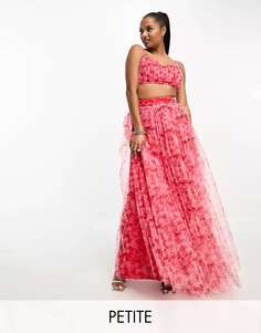 Кружево и бисер Эксклюзивная макси-юбка Petite из тюля красного и розового цвета с цветочным принтом Lace &amp; Beads