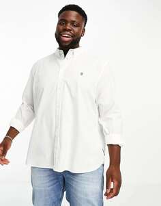 Белая оксфордская рубашка с длинными рукавами French Connection Plus