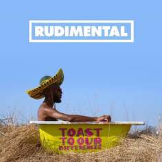 Виниловая пластинка Rudimental - Toast To Our Differences East West