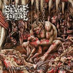 Виниловая пластинка Severe Torture - Misanthropic Carnage Napalm Records