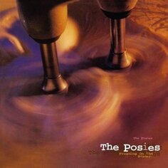 Виниловая пластинка The Posies - Frosting On the Beater