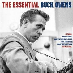 Виниловая пластинка Owens Buck - Essential Not Not Fun