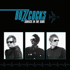 Виниловая пластинка Buzzcocks - Sonics In the Soul Cherry Red Records