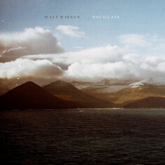 Виниловая пластинка Matt Winson - Oscillate V2 Records