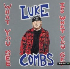 Виниловая пластинка Combs Luke - What You See is What You Get River House