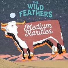 Виниловая пластинка Wild Feathers - Medium Rarities New West Records, Inc.