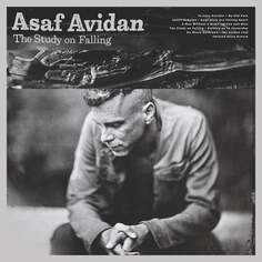 Виниловая пластинка Avidan Asaf - The Study On Falling Universal Music Group