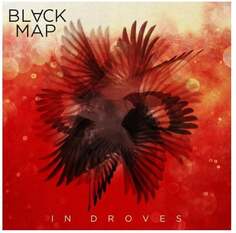 Виниловая пластинка Black Map - In Droves