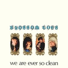 Виниловая пластинка Blossom Toes - We Are Ever So Clean Esoteric