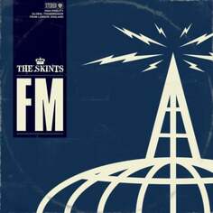 Виниловая пластинка The Skints - Fm Easy Star Records
