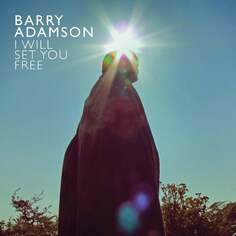 Виниловая пластинка Adamson Barry - I Will Set You Free Mute Records