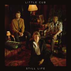 Виниловая пластинка Little Cub - Still Life Domino