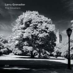 Виниловая пластинка Grenadier Larry - The Gleaners ECM Records