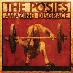Виниловая пластинка The Posies - Amazing Disgrace Ada