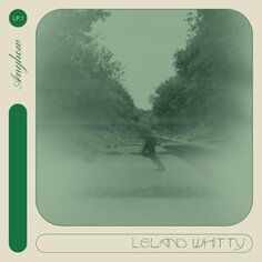 Виниловая пластинка Whitty Leland - Anyhow Innovative Leisure
