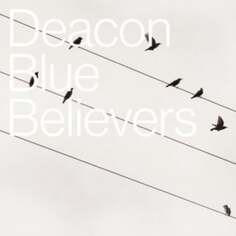 Виниловая пластинка Deacon Blue - Believers Earmusic