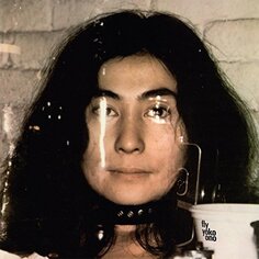 Виниловая пластинка Yoko Ono - Fly Secretly Canadian