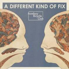 Виниловая пластинка Bombay Bicycle Club - A Different Kind of Fix Island Records