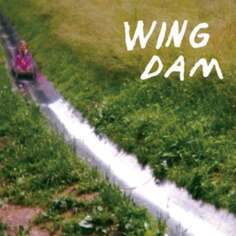 Виниловая пластинка Wing Dam - Glow Ahead Friends
