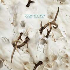 Виниловая пластинка Stetson Colin - All This I Do For Glory 52 HZ