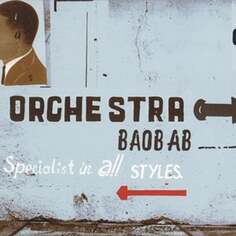 Виниловая пластинка Orchestra Baobab - Specialist In All Styles Ada