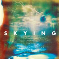 Виниловая пластинка The Horrors - Skying XL Recordings