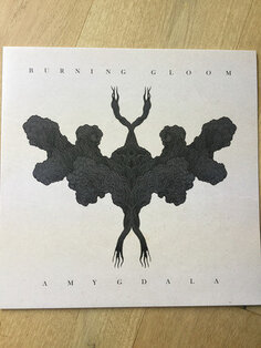 Виниловая пластинка Burning Gloom - Amygdala Argonauta Records