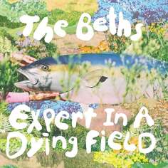 Виниловая пластинка The Beths - Expert In A Dying Field Carpark Records
