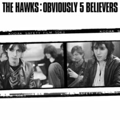 Виниловая пластинка The Hawks - Obviously 5 Believers Cargo Uk