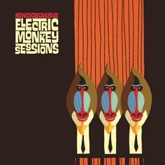 Виниловая пластинка New Cool Collective - Electric Monkey Sessions