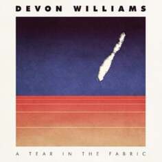 Виниловая пластинка Devon Williams - A Tear in the Fabric Slumberland