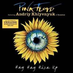 Виниловая пластинка Pink Floyd - Hey Hey Rise Up (feat. Andriy Khlyvnyuk of Boombox)