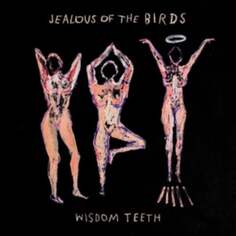 Виниловая пластинка Jealous Of The Birds - Wisdom Teeth Hand in Hive