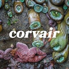 Виниловая пластинка Corvair - Corvair Cargo